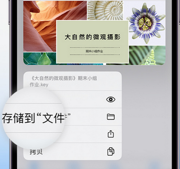 桥西apple维修中心分享iPhone文件应用中存储和找到下载文件