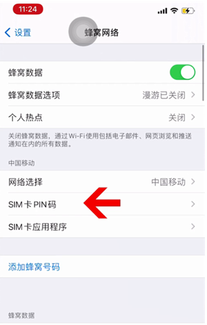 桥西苹果14维修网分享如何给iPhone14的SIM卡设置密码 