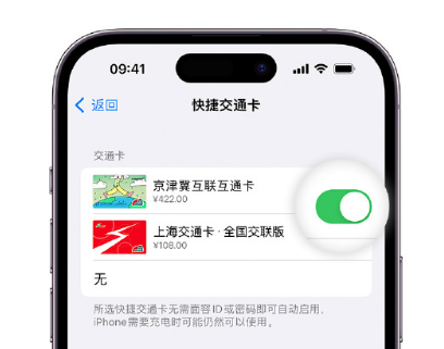 桥西apple维修点分享iPhone上更换Apple Pay快捷交通卡手绘卡面 