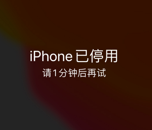 桥西苹果手机维修分享:iPhone 显示“不可用”或“已停用”怎么办？还能保留数据吗？ 