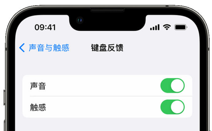 桥西苹果手机维修分享iPhone 14触感键盘使用方法 