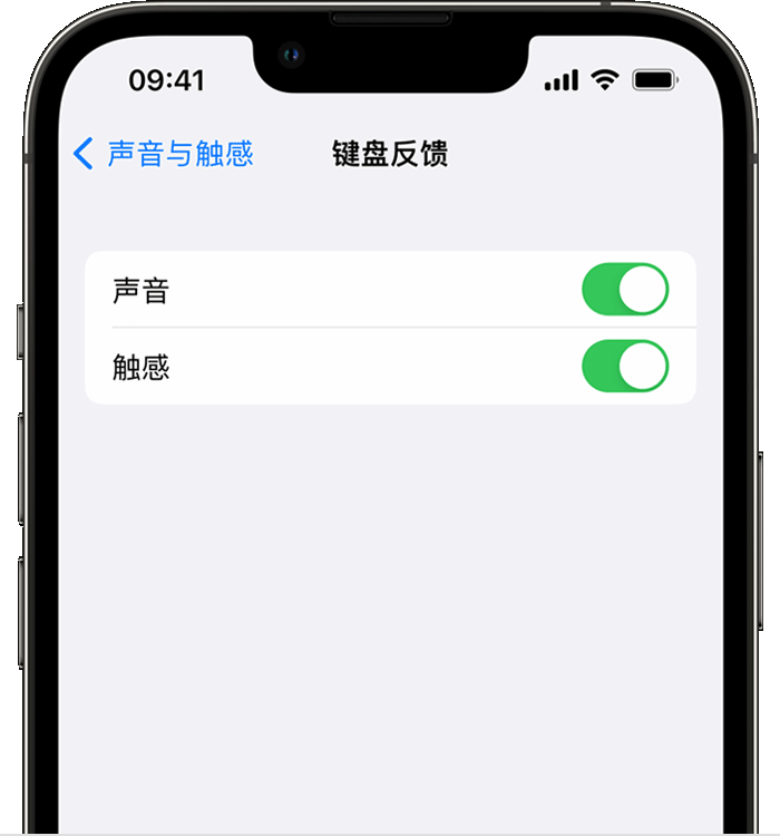 桥西苹果14维修店分享如何在 iPhone 14 机型中使用触感键盘 