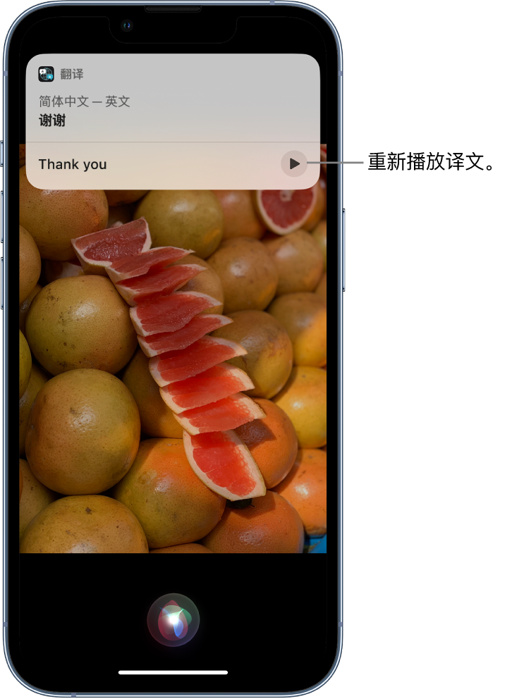 桥西苹果14维修分享 iPhone 14 机型中使用 Siri：了解 Siri 能帮你做什么 