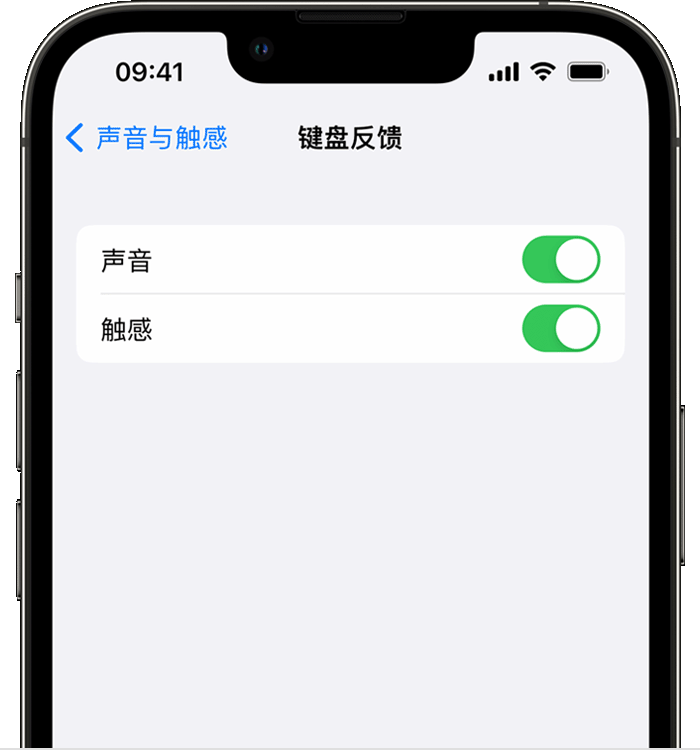 桥西苹果14维修分享iPhone 14 系列机型如何开启键盘声音或触感反馈 