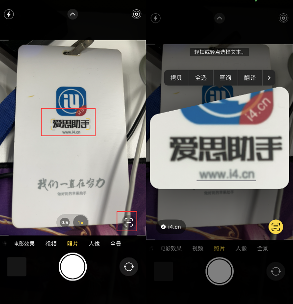 桥西苹果手机维修分享升级iOS 16后如何通过相机翻译文本 