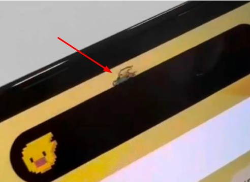 桥西苹果14维修分享iPhone 14 Pro Max灵动岛怎么养宠物 