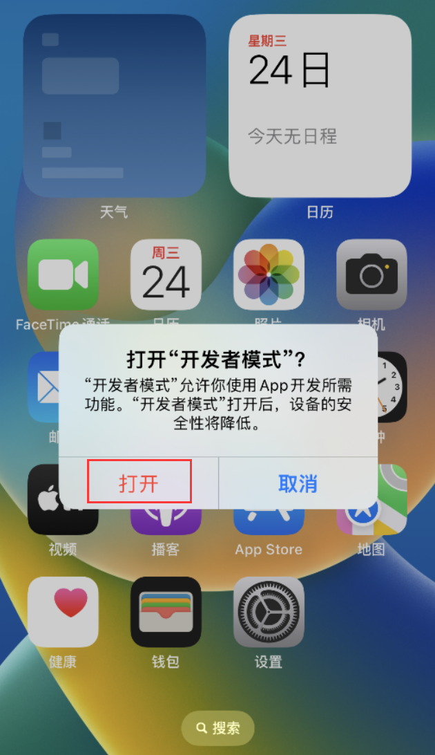 桥西苹果手机维修分享如何打开开发者模式 