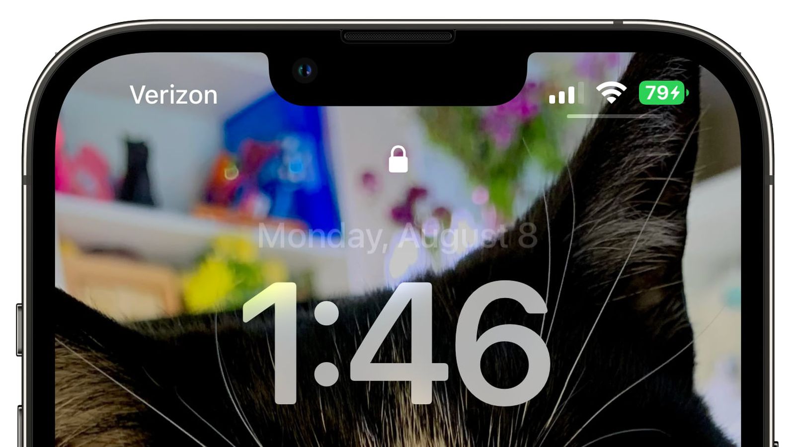 桥西苹果手机维修分享iOS 16 beta 5 支持状态栏显示电池百分比，如何开启？支持哪些机型 