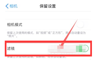 桥西苹果13维修分享iPhone13拍照有绿点是怎么回事 