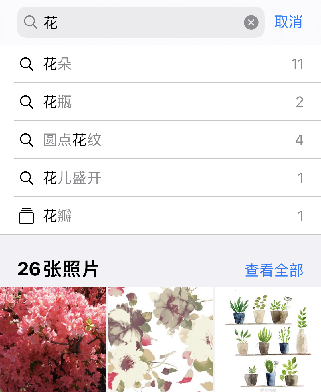 桥西苹果手机维修分享iPhone 小技巧 