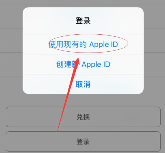 桥西苹果手机维修分享两台iPhone设备可以同时登录一个Apple ID吗 